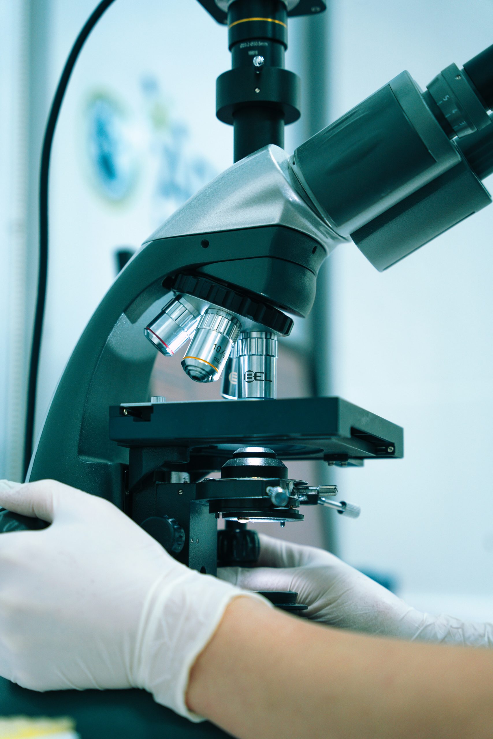 Lab
