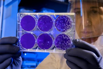 Lab